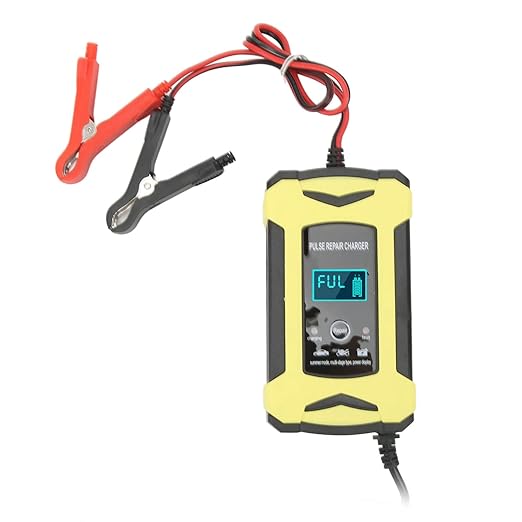 Cargador de batería de 12V ChickShop Chile.