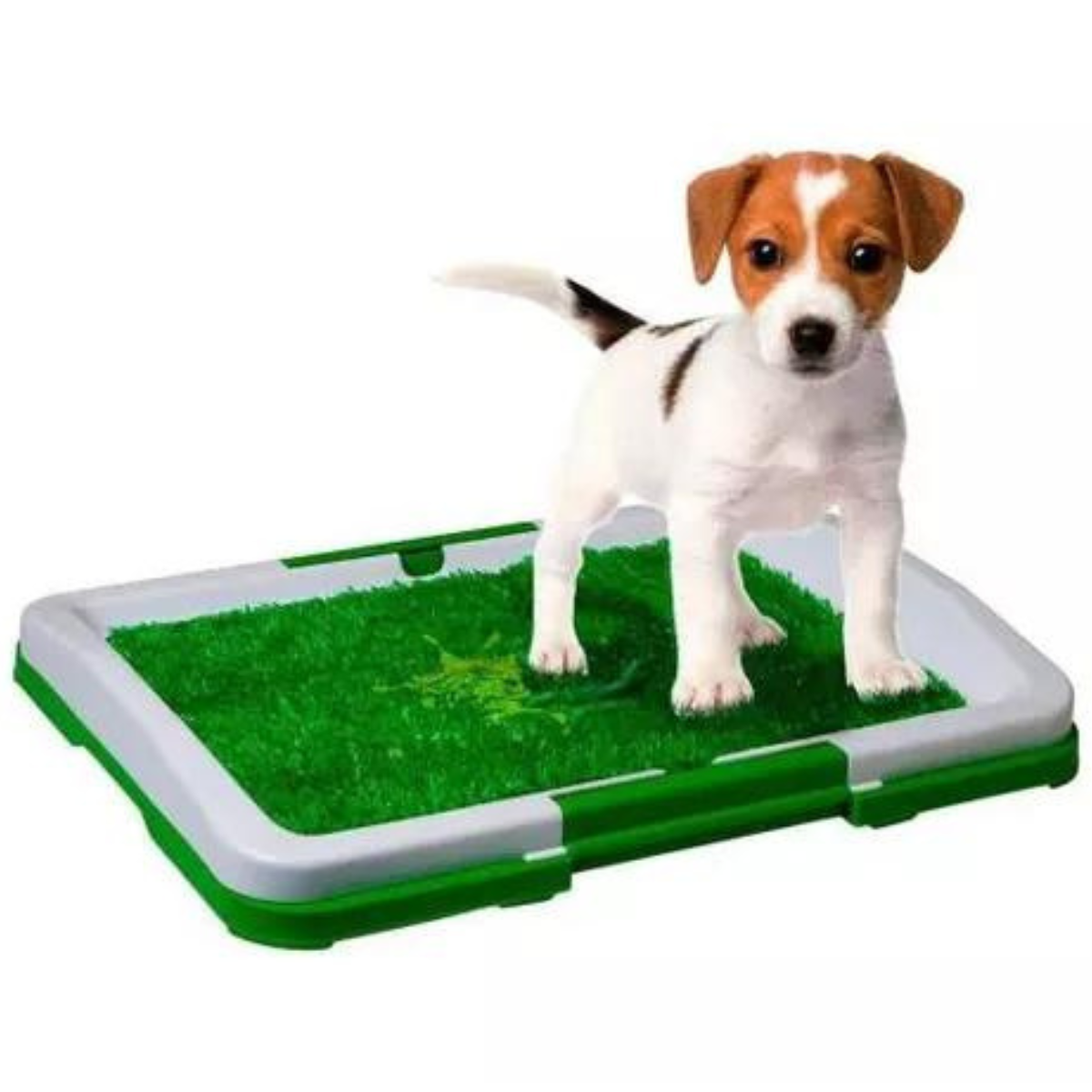 Alfombra absorbente para perros ChickShop Chile.